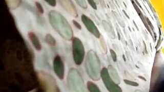 Štreber za Stud bosanske jebacine u jednom jednostavnom zajebavanju. video (Stephanie Wylde) - 2022-02-10 17:02:18